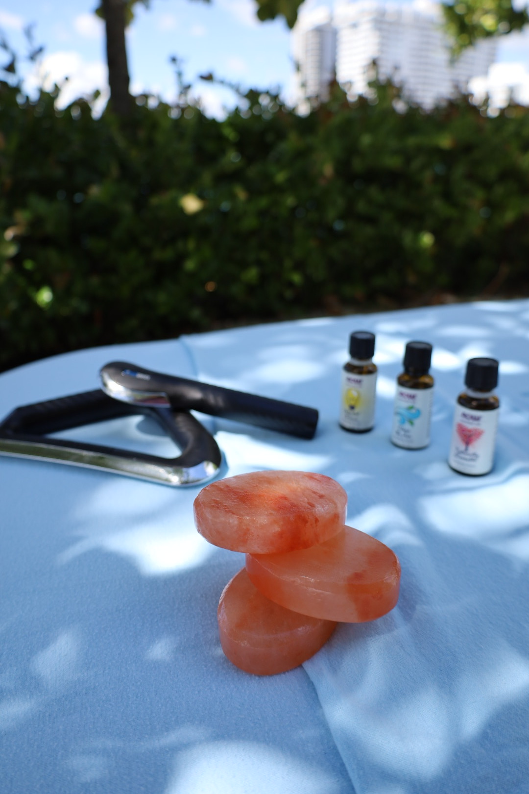 Discover The Experience 